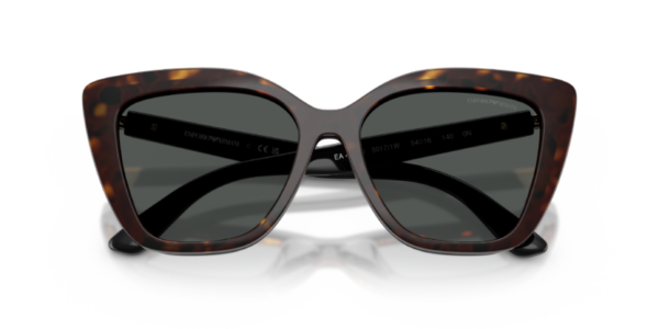 Emporio Armani 4254U SOLE — 50171W — Ottica Polaris