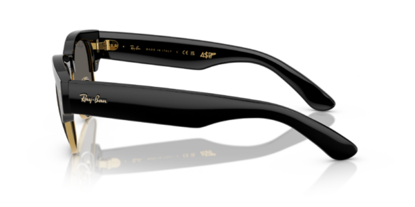 Ray-Ban 0316S SOLE — 6826J5 — Ottica Polaris