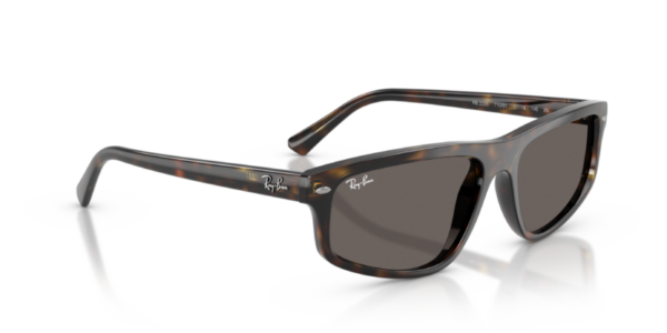Ray-Ban 2225 SOLE — 710/B1 — Ottica Polaris