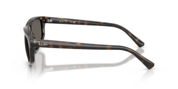 Ray-Ban 2225 SOLE — 710/B1 — Ottica Polaris