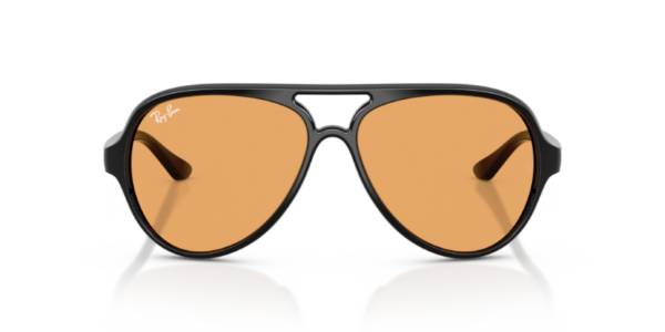 Ray-Ban 4125 SOLE — 601/33 — Ottica Polaris