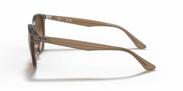 Ray-Ban 4305 SOLE — 616613 — Ottica Polaris
