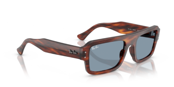 Ray-Ban 4454 SOLE — 139856 — Ottica Polaris