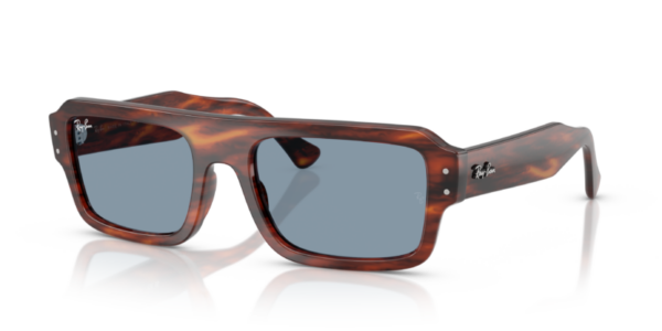 Ray-Ban 4454 SOLE — 139856 — Ottica Polaris
