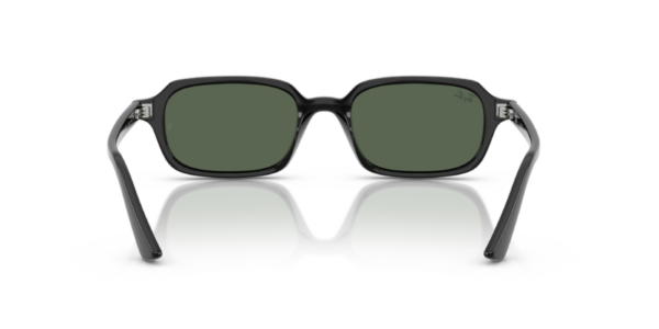 Ray-Ban 4455 SOLE — 667771 — Ottica Polaris