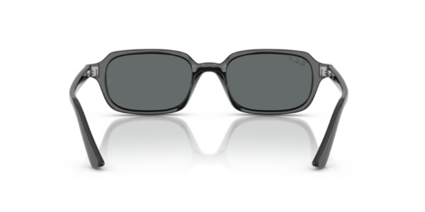 Ray-Ban 4455 SOLE — 667781 — Ottica Polaris