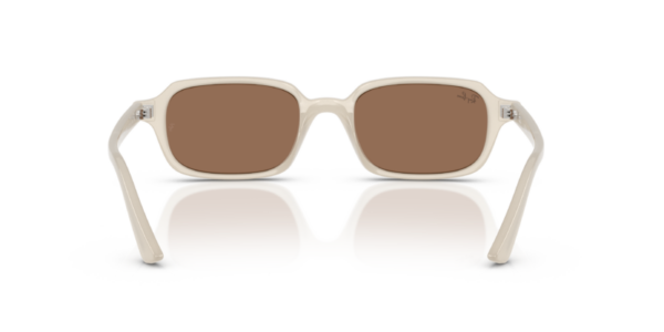 Ray-Ban 4455 SOLE — 680873 — Ottica Polaris