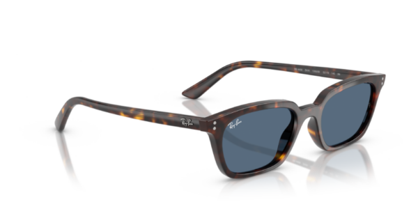 Ray-Ban 4456 SOLE — 135980 — Ottica Polaris