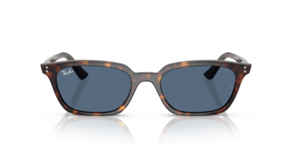 Ray-Ban 4456 SOLE — 135980 — Ottica Polaris