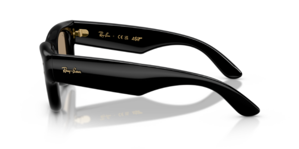Ray-Ban 4940 SOLE — 601/7J — Ottica Polaris
