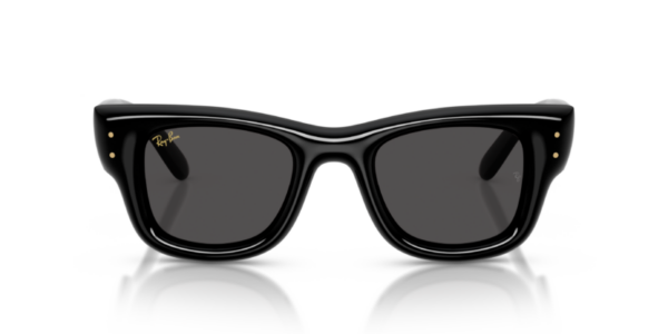 Ray-Ban 4940 SOLE — 601/87 — Ottica Polaris