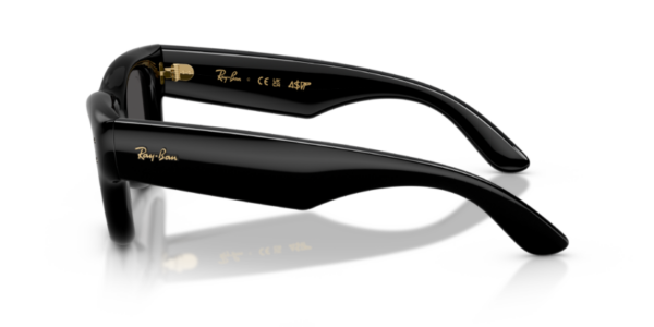 Ray-Ban 4940 SOLE — 601/87 — Ottica Polaris