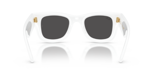 Ray-Ban 4940 SOLE — 671/87 — Ottica Polaris