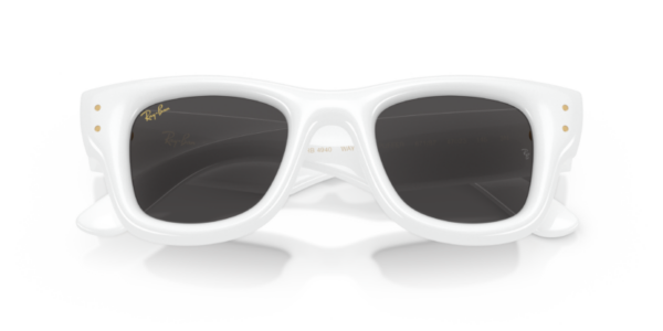 Ray-Ban 4940 SOLE — 671/87 — Ottica Polaris