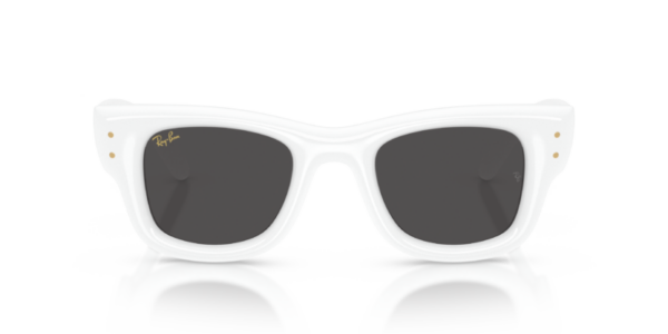 Ray-Ban 4940 SOLE — 671/87 — Ottica Polaris
