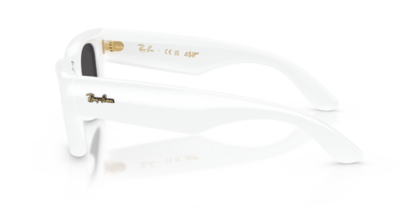 Ray-Ban 4940 SOLE — 671/87 — Ottica Polaris