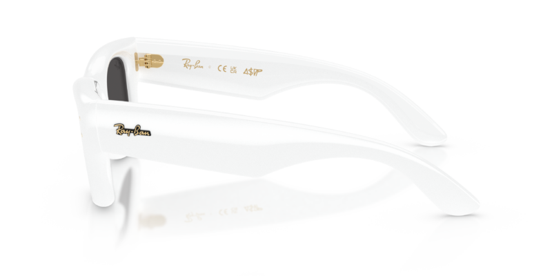 Ray-Ban 4940 SOLE — 671/87 — Ottica Polaris