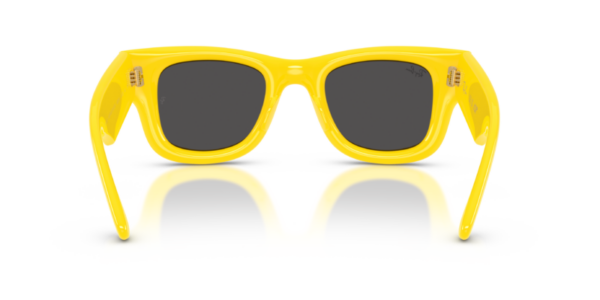 Ray-Ban 4940 SOLE — 683087 — Ottica Polaris
