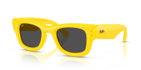 Ray-Ban 4940 SOLE — 683087 — Ottica Polaris