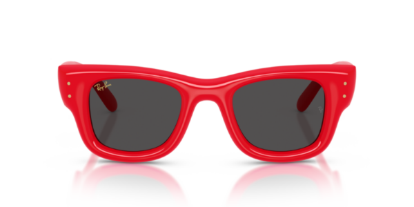 Ray-Ban 4940 SOLE — 683187 — Ottica Polaris