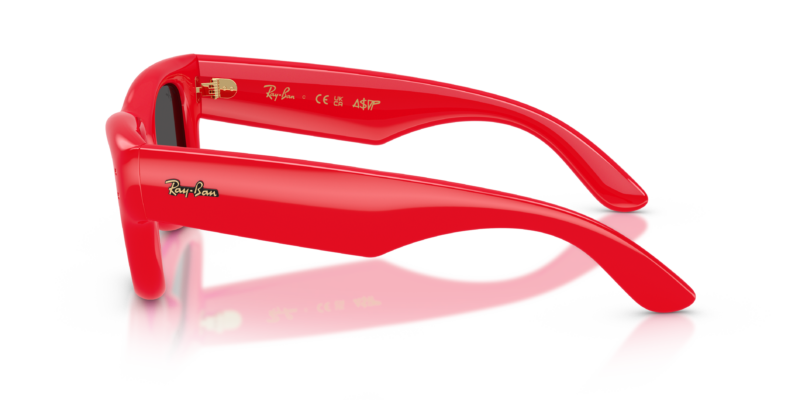 Ray-Ban 4940 SOLE — 683187 — Ottica Polaris