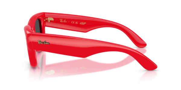 Ray-Ban 4940 SOLE — 683187 — Ottica Polaris