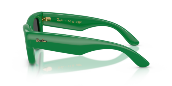 Ray-Ban 4940 SOLE — 683487 — Ottica Polaris