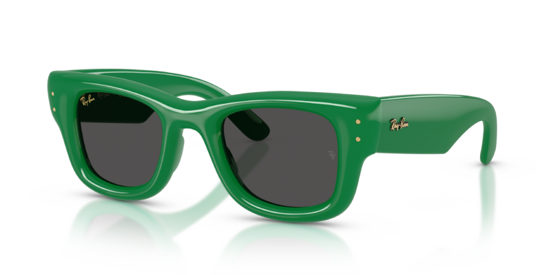 Ray-Ban 4940 SOLE — 683487 — Ottica Polaris