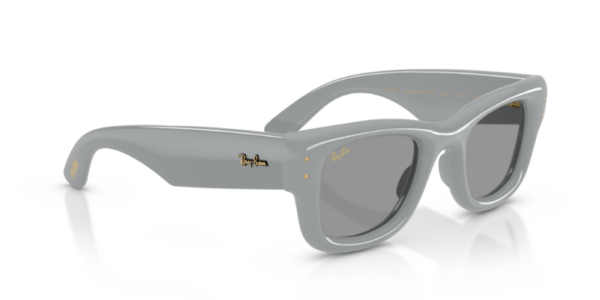 Ray-Ban 4940 SOLE — 6876/1 — Ottica Polaris