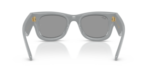 Ray-Ban 4940 SOLE — 6876/1 — Ottica Polaris