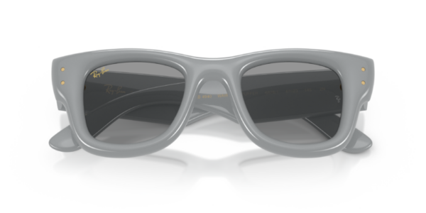 Ray-Ban 4940 SOLE — 6876/1 — Ottica Polaris