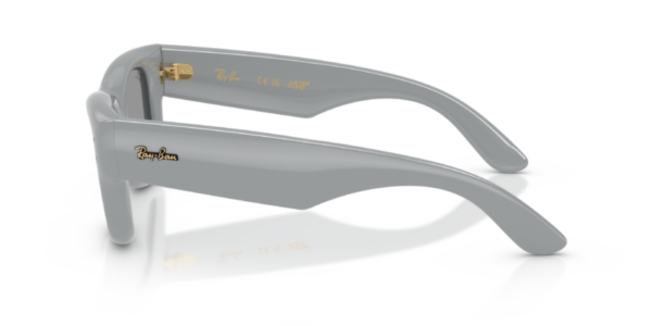 Ray-Ban 4940 SOLE — 6876/1 — Ottica Polaris
