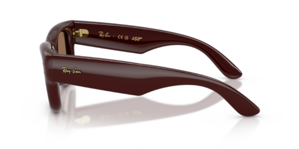 Ray-Ban 4940 SOLE — 687773 — Ottica Polaris