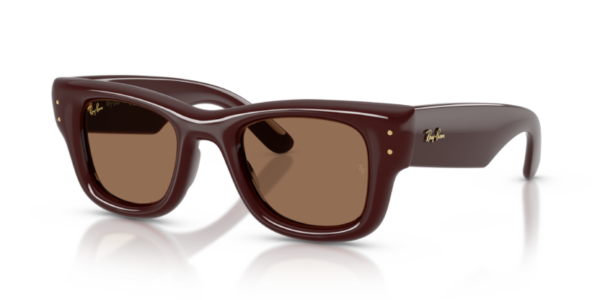 Ray-Ban 4940 SOLE — 687773 — Ottica Polaris