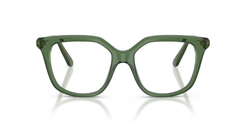 Swarovski 2059 VISTA — 1085 — Ottica Polaris