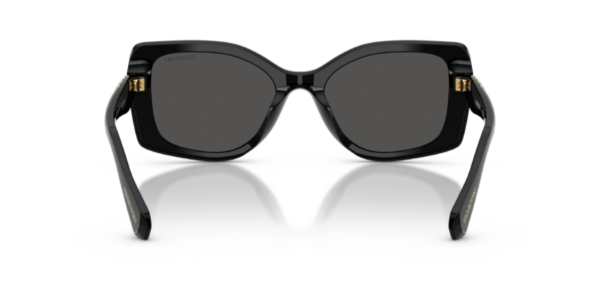 Swarovski 6058U SOLE — 100187 — Ottica Polaris
