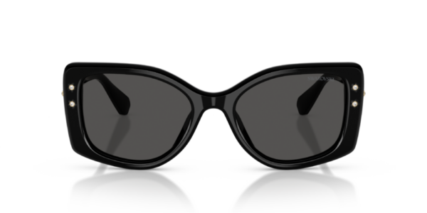 Swarovski 6058U SOLE — 100187 — Ottica Polaris