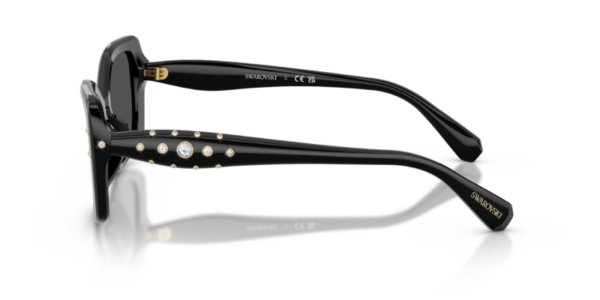 Swarovski 6058U SOLE — 100187 — Ottica Polaris