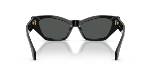 Versace 4488U SOLE — GB1/87 — Ottica Polaris