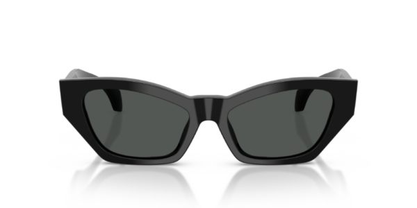 Versace 4488U SOLE — GB1/87 — Ottica Polaris
